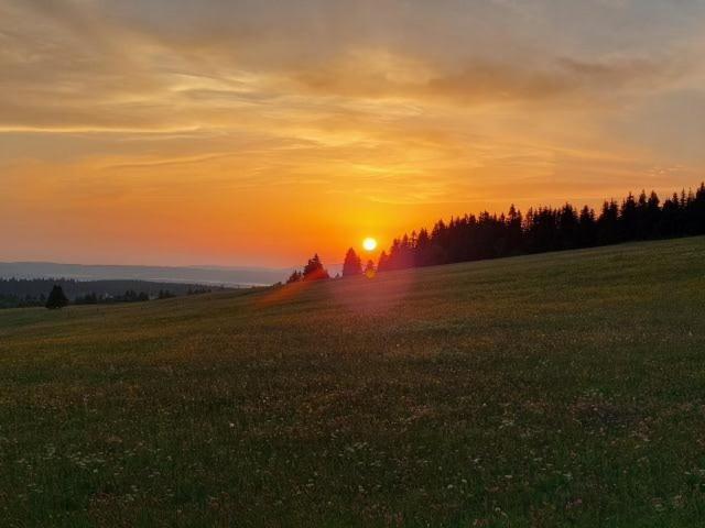 Landgasthof Neitsch シュヴァルツェンベルク エクステリア 写真