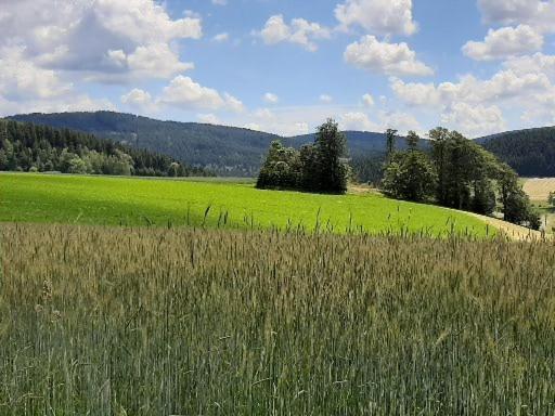 Landgasthof Neitsch シュヴァルツェンベルク エクステリア 写真